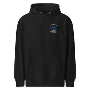 pull over hoodie